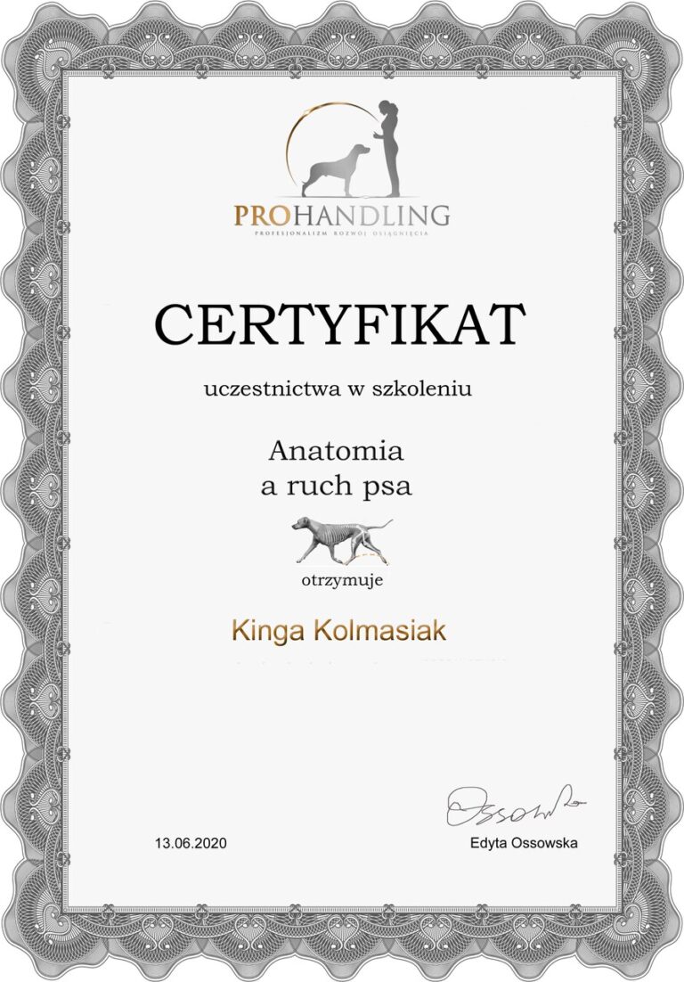 Kinga Kolmasiak (1)_Easy-Resize.com