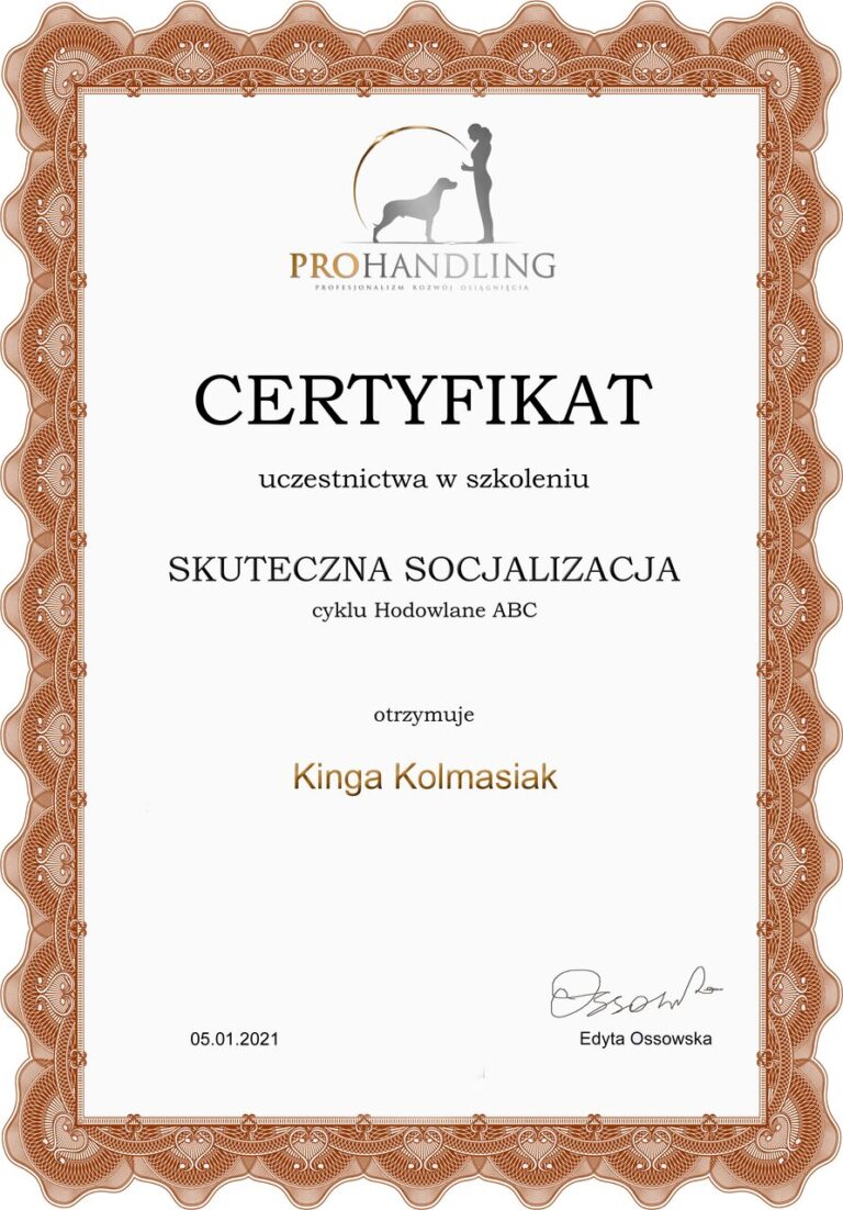 Kinga Kolmasiak (2)_Easy-Resize.com