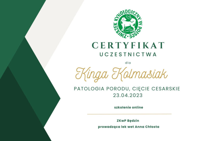 Kinga Kolmasiak_Easy-Resize.com (1)