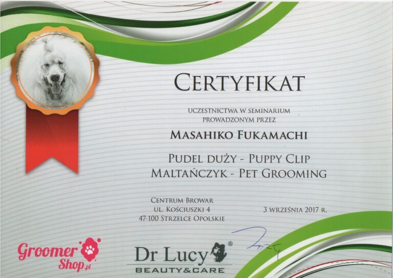 certyfikaty groomer Kinga Kolmasiak Pacos Kingdom Będzin (17)_Easy-Resize.com
